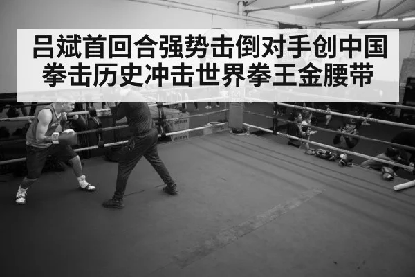 boxer training gym