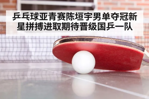 ping pong training