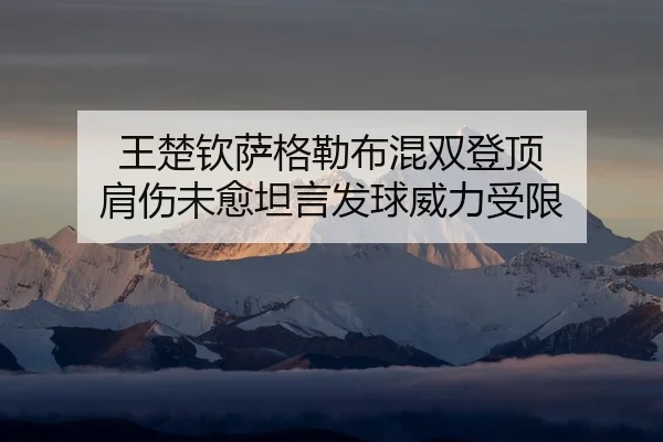 wang-chu-qin-sa-ge-lei-bu-hun-shuang-deng-ding-jian-shang-wei-yu-tan-yan-fa-qiu-wei-li-shou-xian-3-140.jpg